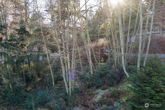 0 Alta Vis, Coupeville, WA 98239 - photo 5