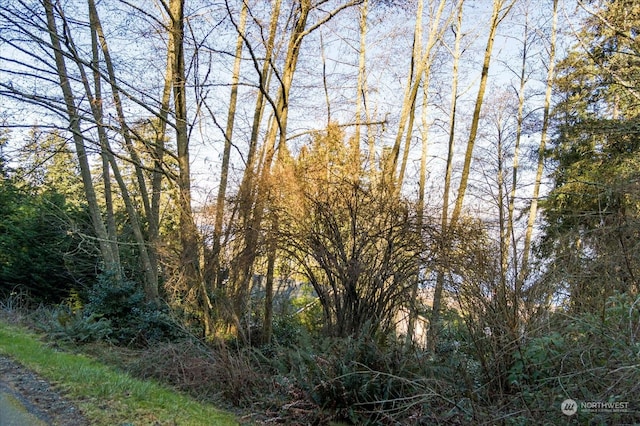0 Alta Vis, Coupeville, WA 98239 - photo 6