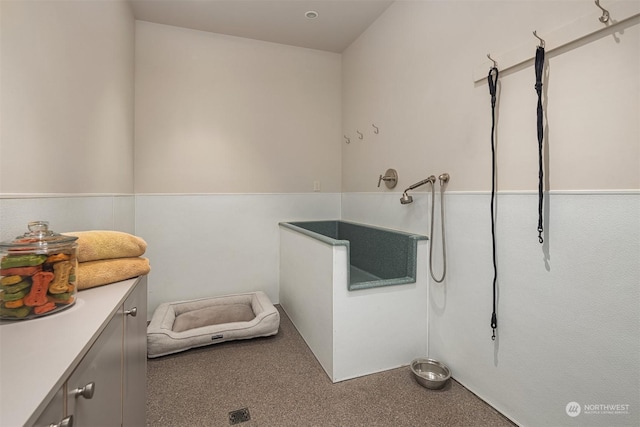 laundry room featuring carpet flooring