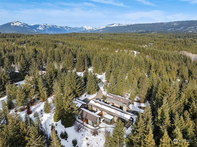 bird's eye view with a mountain view