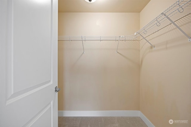 view of walk in closet