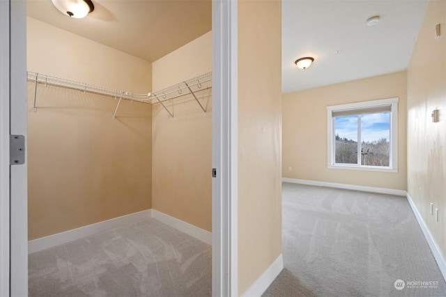 walk in closet with light colored carpet