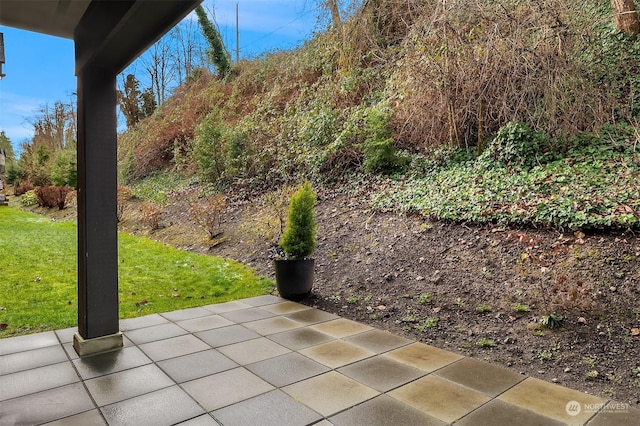 view of yard featuring a patio area