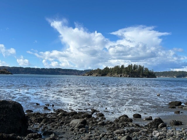 view of water feature