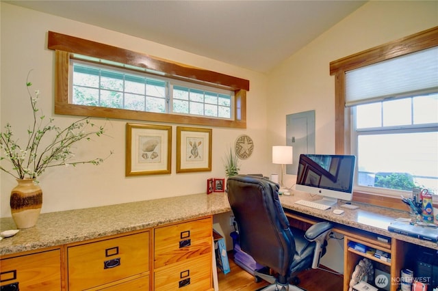 office featuring a healthy amount of sunlight, light wood-type flooring, and vaulted ceiling