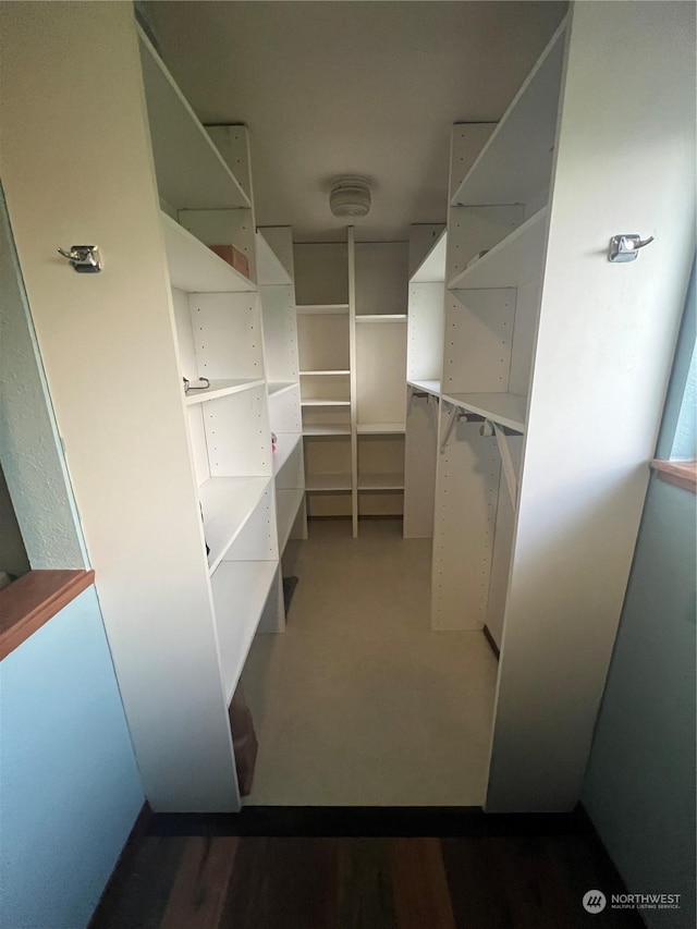 view of walk in closet