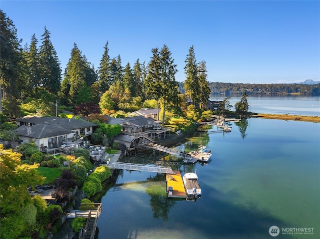 drone / aerial view featuring a water view