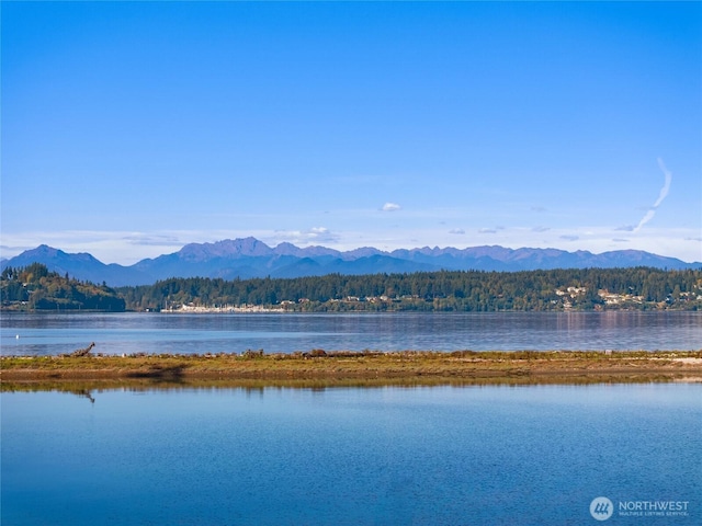 property view of water featuring a mountain view