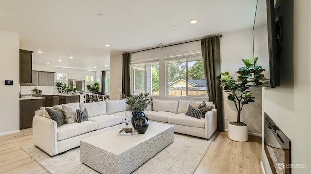 living room with light hardwood / wood-style flooring