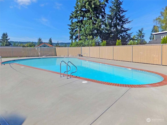 view of pool featuring a patio area