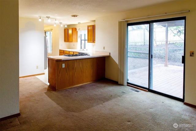 kitchen with appliances with stainless steel finishes, sink, light colored carpet, kitchen peninsula, and a textured ceiling