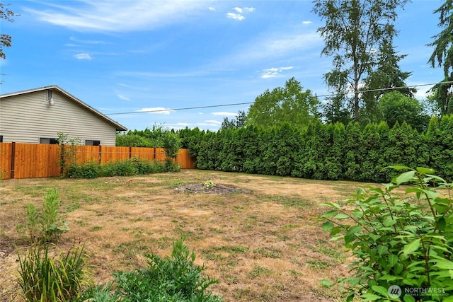 view of yard featuring fence