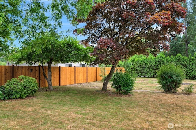 view of yard featuring fence