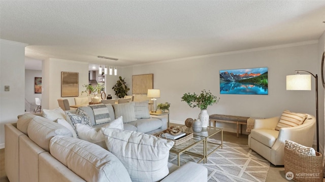 living room featuring a textured ceiling and crown molding