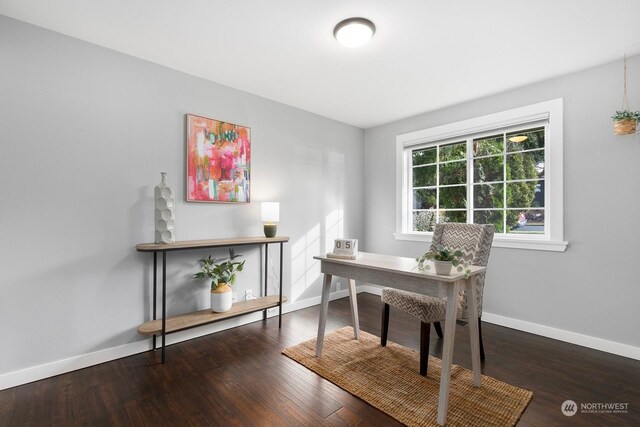 office area featuring hardwood / wood-style flooring