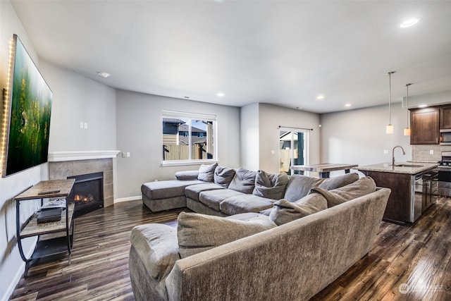 living room with sink, a fireplace, and dark hardwood / wood-style floors