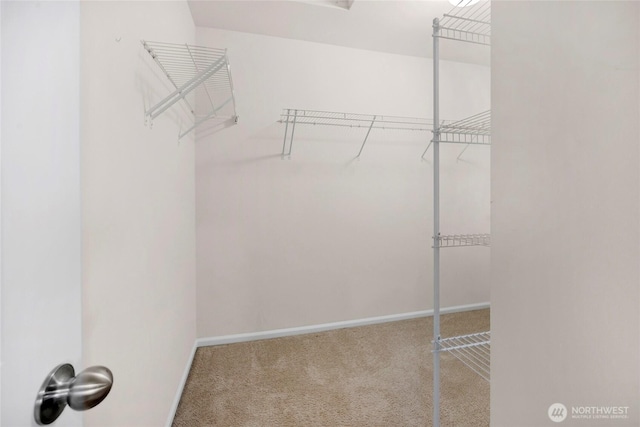 walk in closet featuring carpet flooring