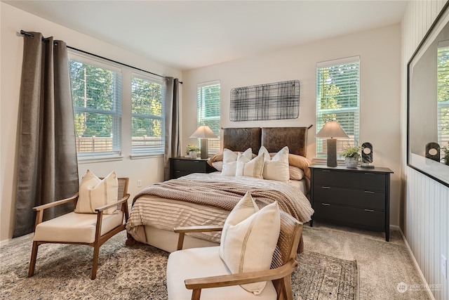 view of carpeted bedroom