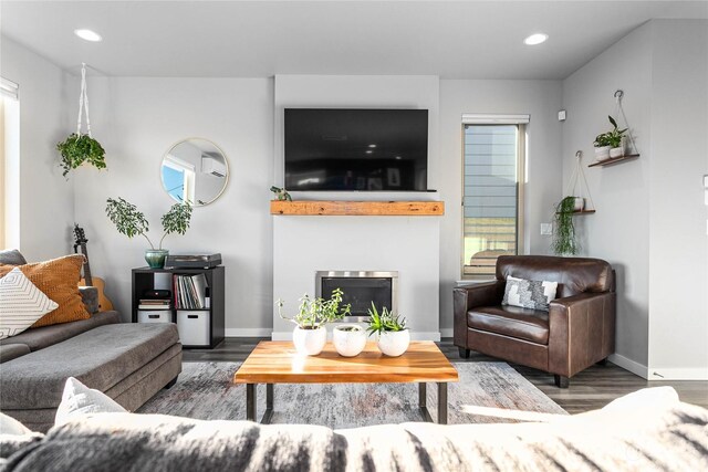 living room featuring dark wood-type flooring