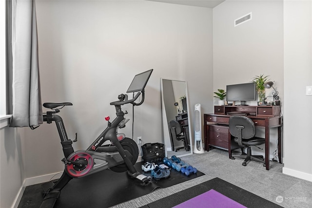 workout room with carpet flooring