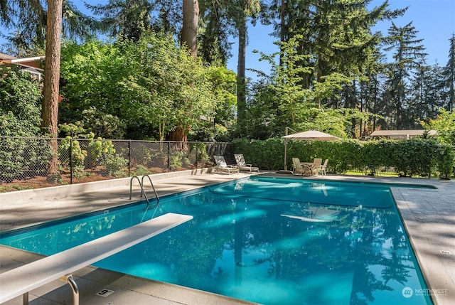 view of pool with a diving board and a patio area