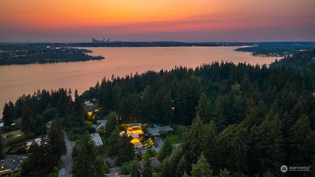 aerial view at dusk with a water view