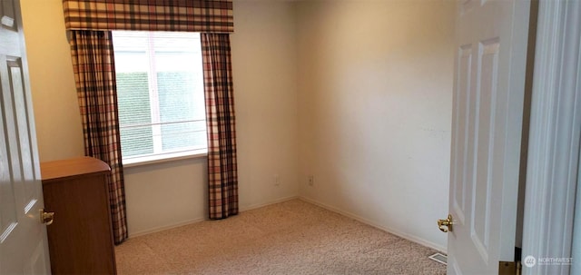 carpeted empty room featuring a wealth of natural light