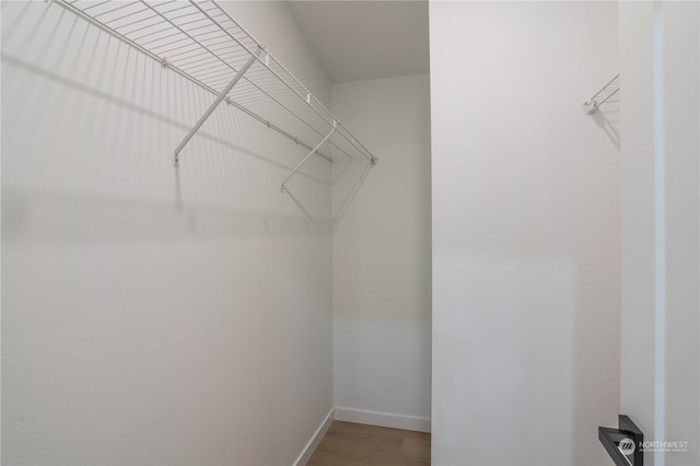 walk in closet with hardwood / wood-style floors