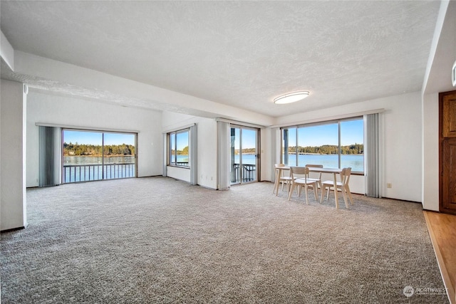 interior space with a water view, plenty of natural light, carpet, and a textured ceiling