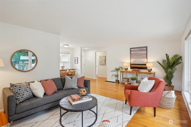 living room with light hardwood / wood-style flooring