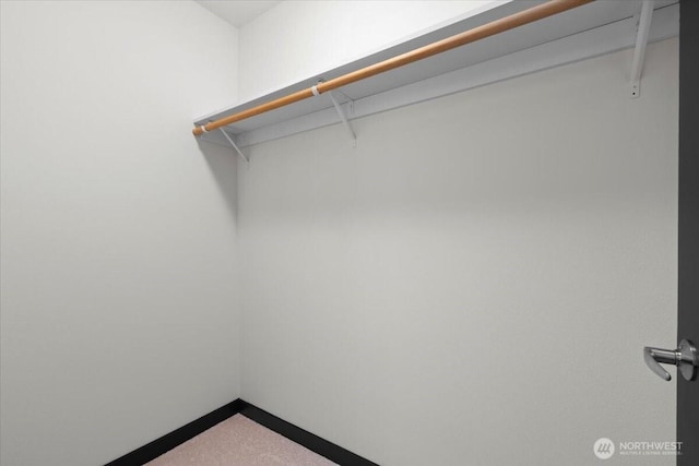 view of spacious closet