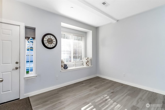 entryway featuring hardwood / wood-style floors