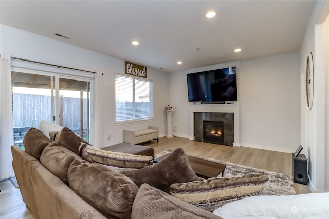 living room featuring a fireplace and light hardwood / wood-style flooring