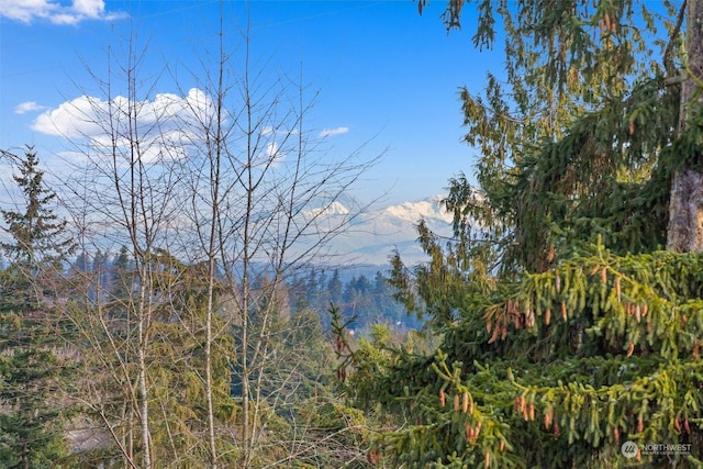 view of landscape featuring a mountain view