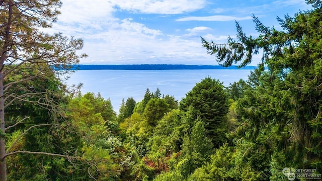 property view of water with a forest view