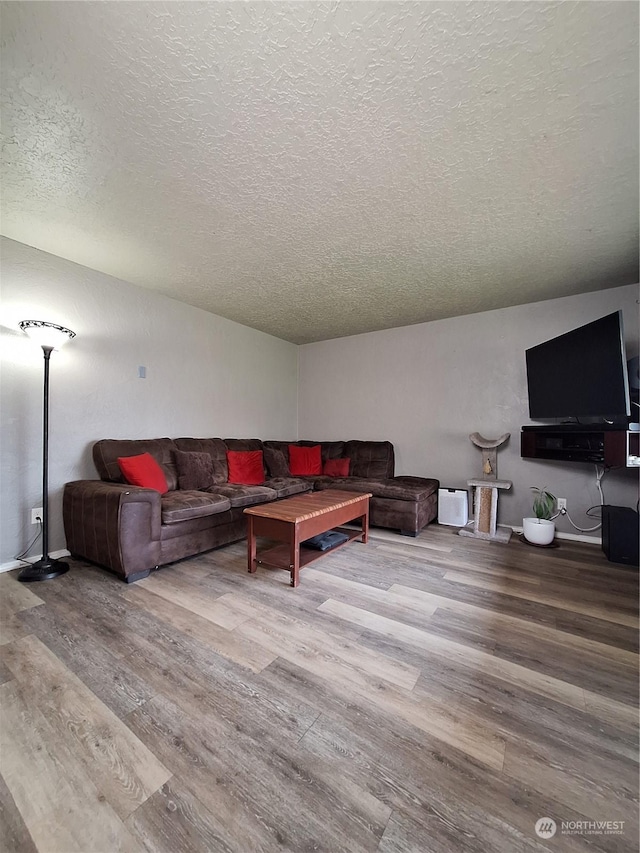 living room with hardwood / wood-style floors and a textured ceiling