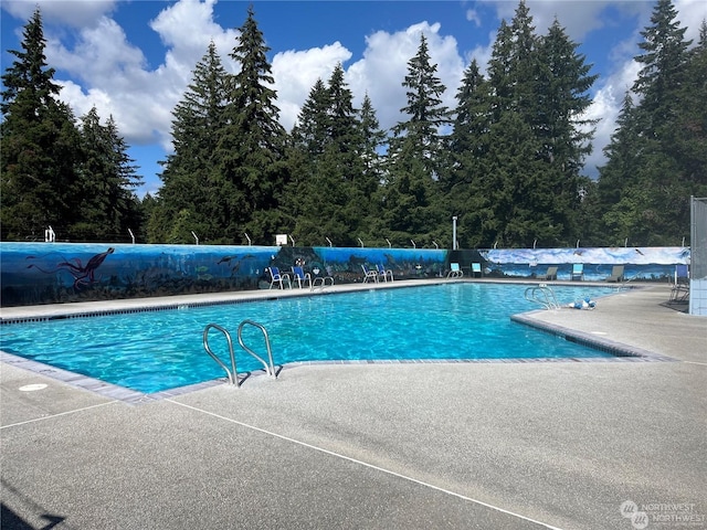 view of pool with a patio area