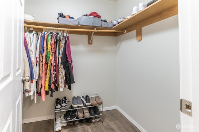 spacious closet with dark hardwood / wood-style floors