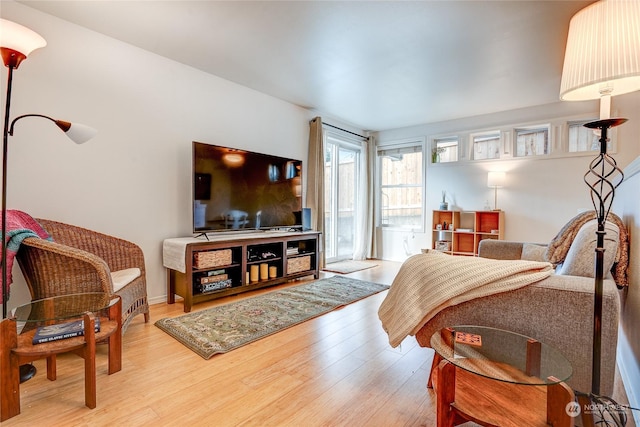 living room with light wood-type flooring