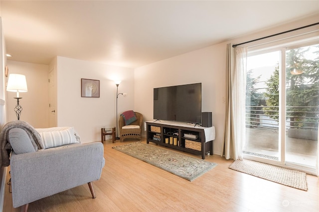 living room featuring wood-type flooring