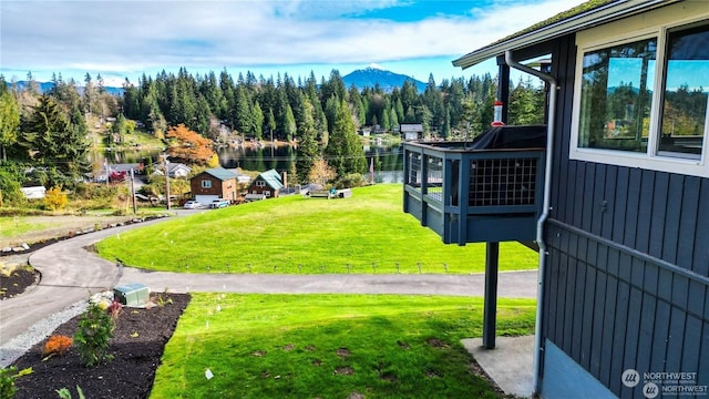 view of yard featuring a water and mountain view