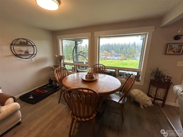 dining room with wood-type flooring