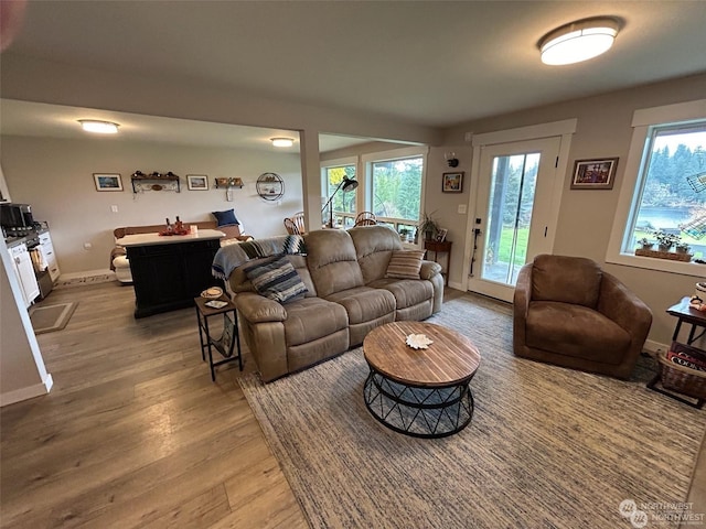 living room featuring wood-type flooring and a healthy amount of sunlight