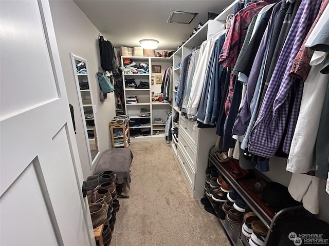 walk in closet featuring light carpet