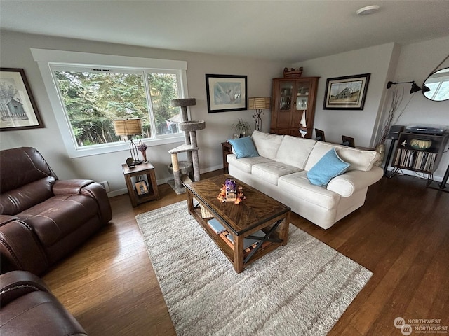 living room featuring dark hardwood / wood-style floors