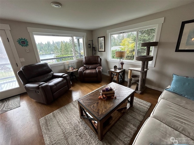 living room with dark hardwood / wood-style floors