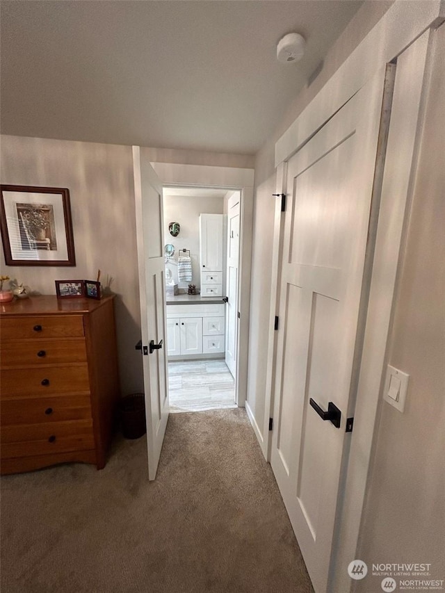 hallway featuring carpet floors