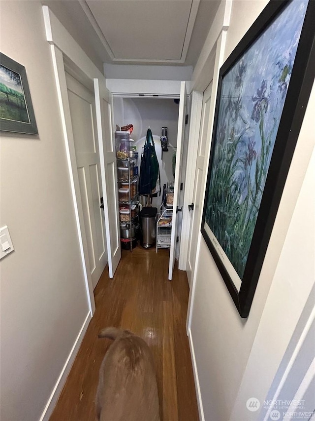 hallway featuring dark hardwood / wood-style flooring