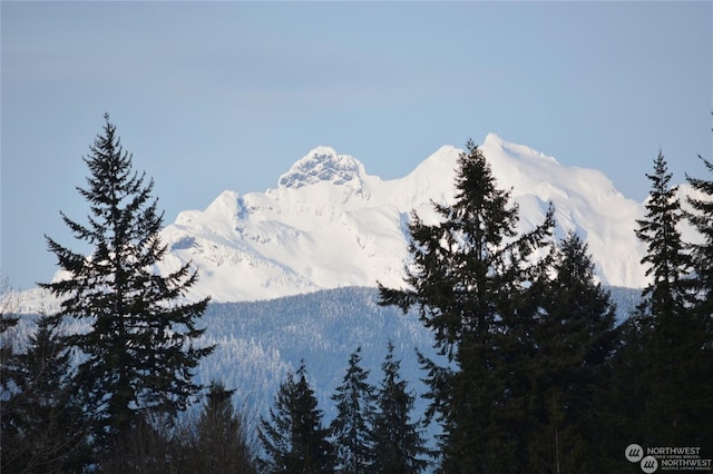 property view of mountains