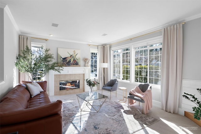 living room featuring ornamental molding and a premium fireplace